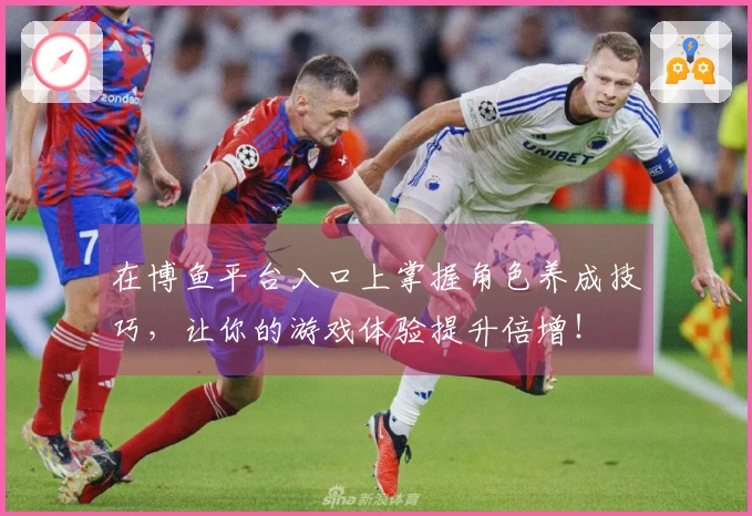 在博鱼平台入口上掌握角色养成技巧，让你的游戏体验提升倍增！