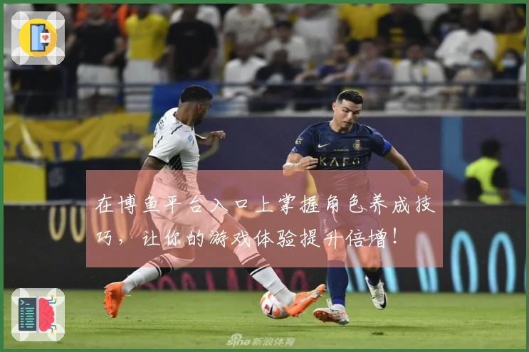 在博鱼平台入口上掌握角色养成技巧，让你的游戏体验提升倍增！