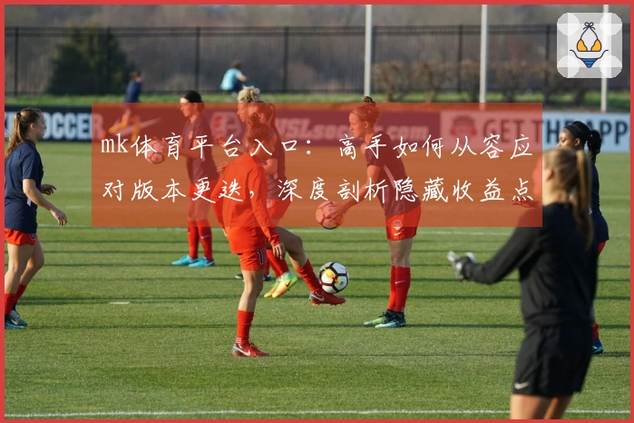 mk体育平台入口：高手如何从容应对版本更迭，深度剖析隐藏收益点